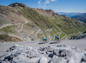 Bike tour Venosta Valley Stelvio Pass Hotel Lärchenhof Solda