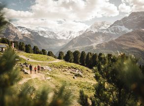 Family hikes Solda holiday Hotel Lärchenhof South Tyrol