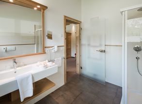 Hotel South Tyrol Suite with bathroom and shower
