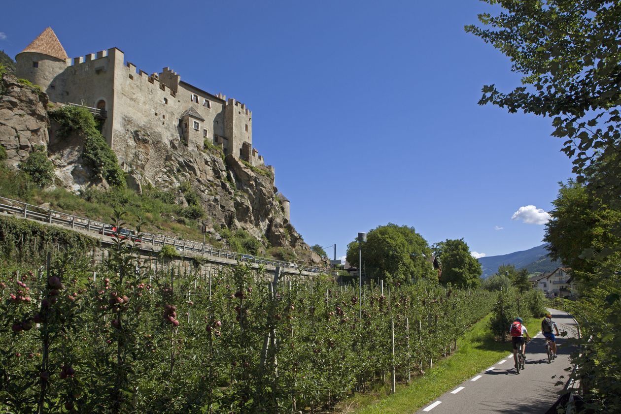 Pista ciclabile Val Venosta Alto Adige tour in bicicletta
