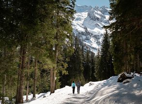 Winterhiking Solda Venosta Valley holiday Hotel Lärchenhof