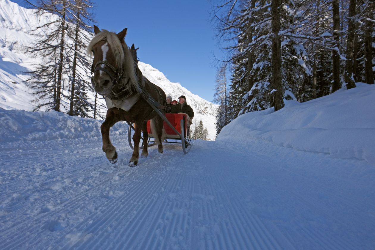 Giro in slitta trainata da cavalli vacanza invernale Solda Alto Adige Hotel Lärchenhof