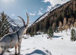 Langlaufen Sulden Nationalpark Stilfserjoch Winterurlaub Hotel Lärchenhof