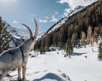 Langlaufen Sulden Nationalpark Stilfserjoch Winterurlaub Hotel Lärchenhof